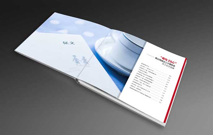 建筑行業(yè)畫(huà)冊(cè)設(shè)計(jì)|20周年宣傳畫(huà)冊(cè)設(shè)計(jì)